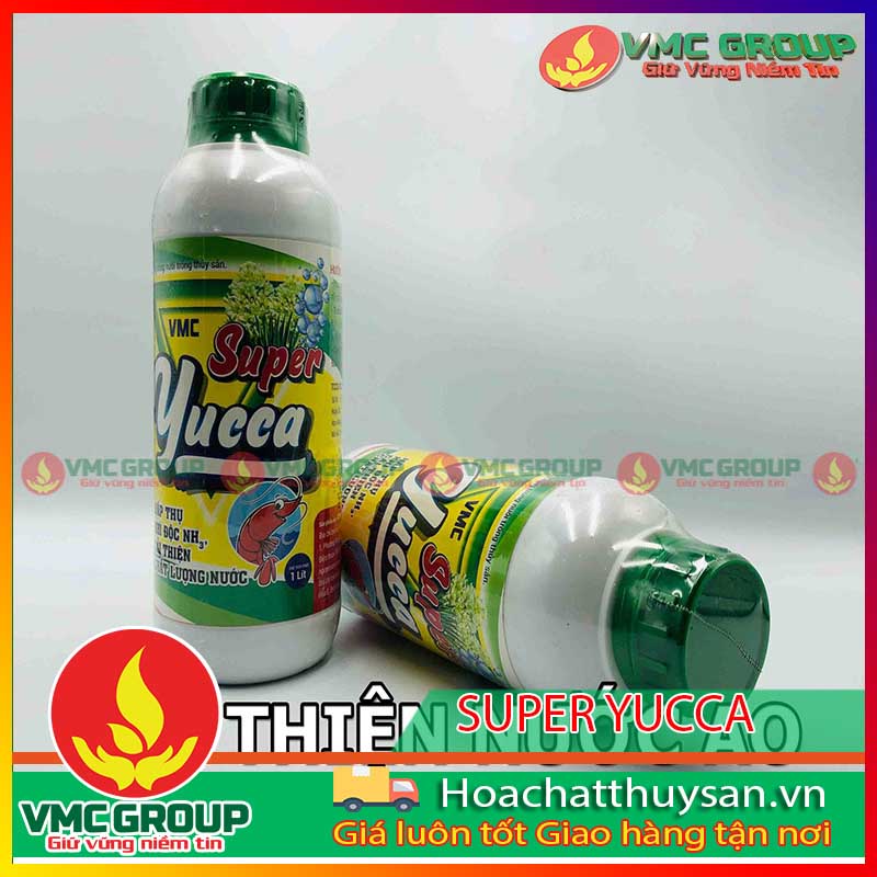 Yucca điều trị bệnh tôm cá nổi đầu