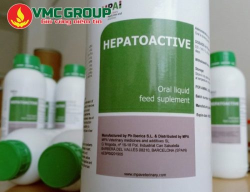 Sử dụng Hepato Active như thế nào