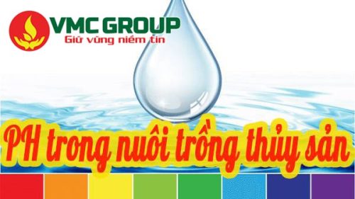 Tầm quan trọng của pH trong ao nuôi