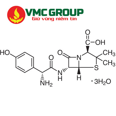 Tìm hiểu kháng sinh Amoxicillin Trihydrate