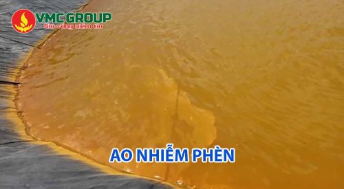 Dấu hiệu nhận biết ao nuôi nhiễm phèn