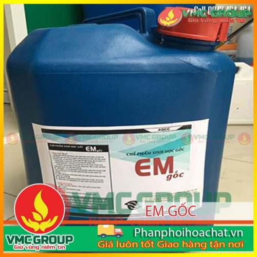 Chế phẩm sinh học EM gốc giúp giảm khí độc nước ao nuôi