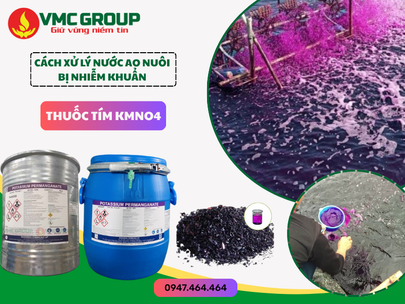 Cách xử lý nước ao nuôi thủy sản bị nhiễm khuẩn bằng thuốc tím KMnO4 đúng kỹ thuật