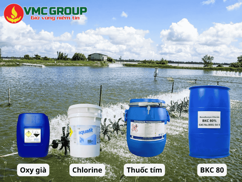Sát trùng nước ao nuôi phòng bệnh cho tôm cá